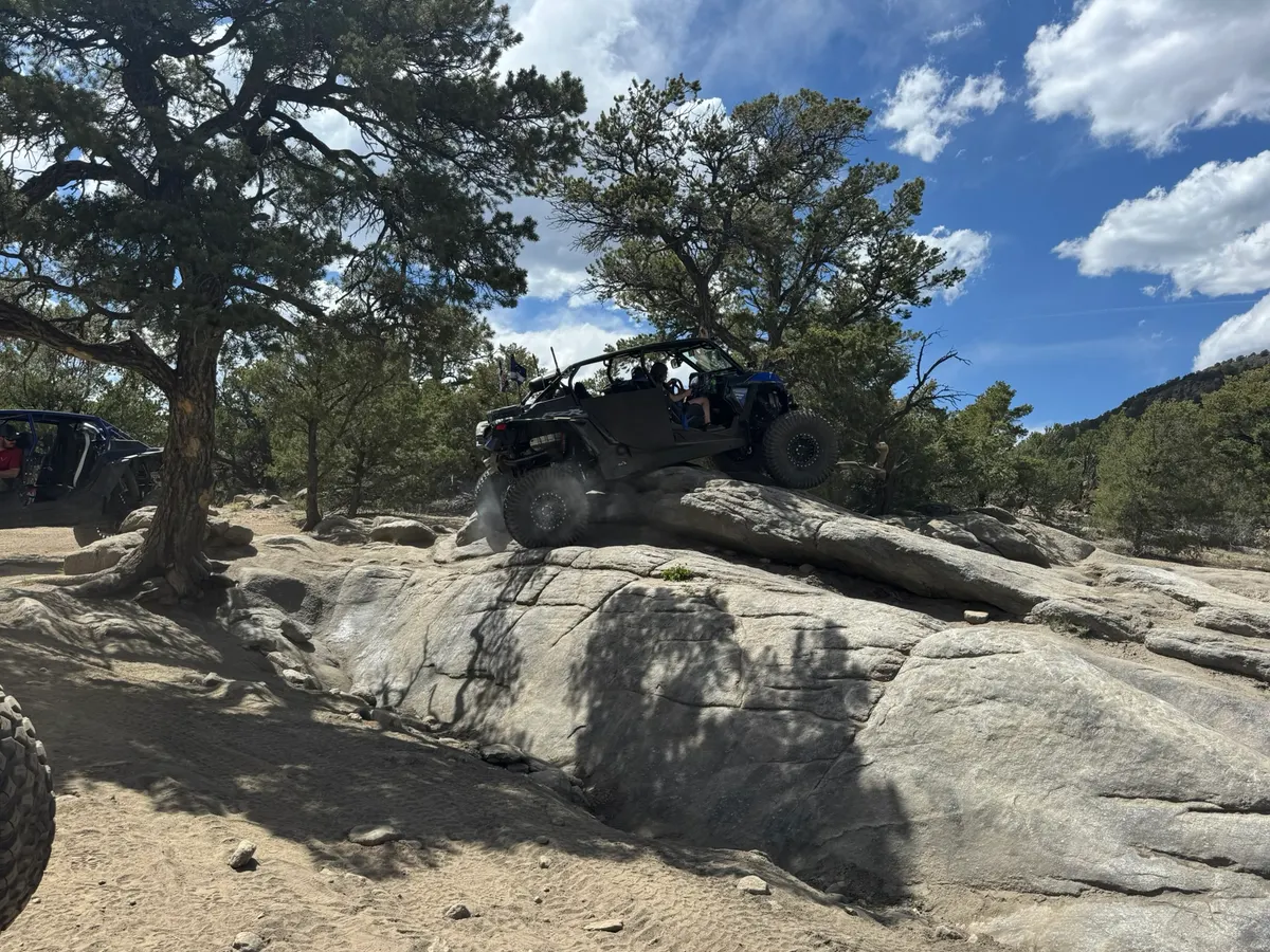 A side-by-side climbing over a granite slab on a wooded trail